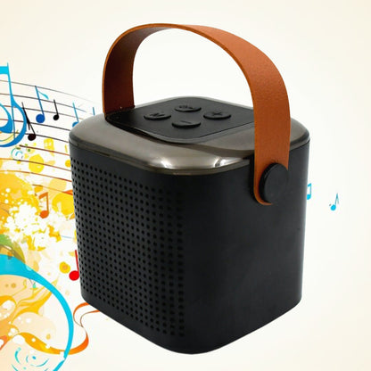 Travel-Friendly Wireless Speaker & Mic Set