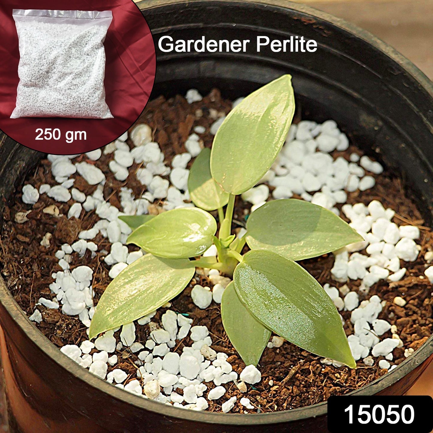 Terrace Gardening Perlite (250g)