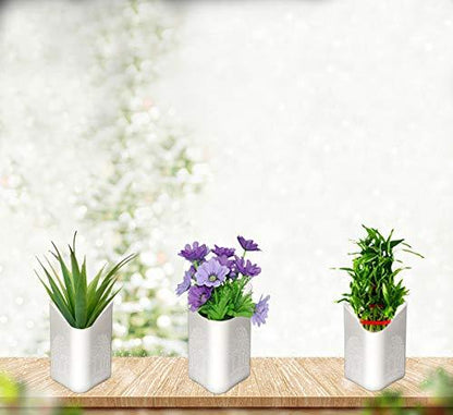 Short Multicolour Vertical Planter