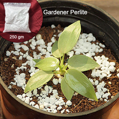 Terrace Gardening Perlite (250g)