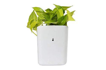 Short Multicolour Vertical Planter