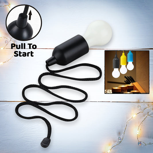 Black LED Pendant with Pull Cord Switch