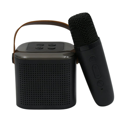 Travel-Friendly Wireless Speaker & Mic Set